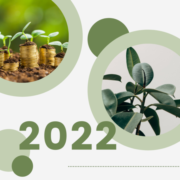 2022: The Year You Stop Missing Out On Undiscovered Business Opportunities